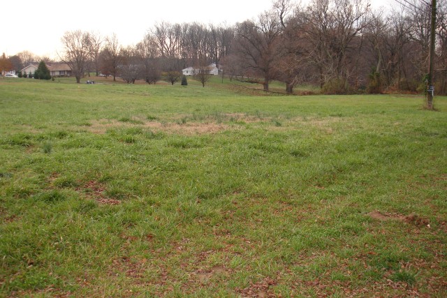 November 2006 before any site development work has started. Looking towards the south/east corner of the property.